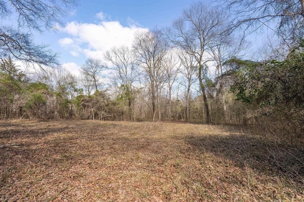 29.95 acres in Cass County - photo 4