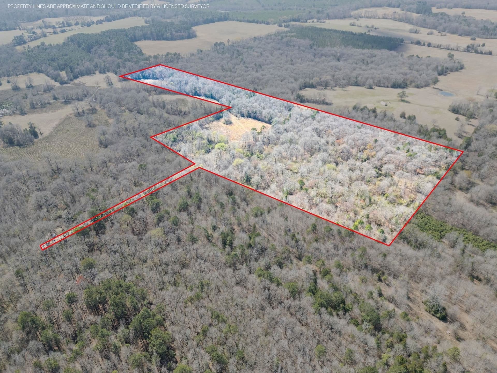 29.95 acres in Cass County - photo 6