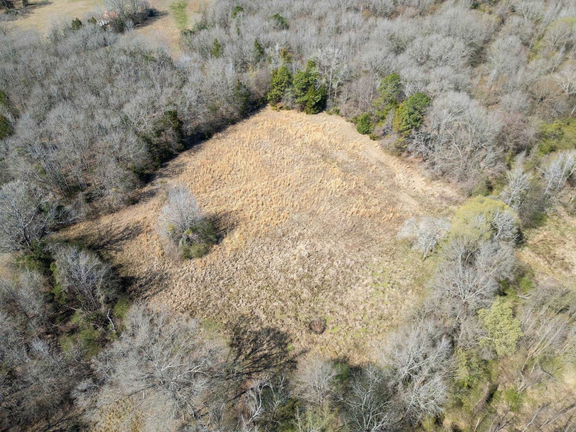 29.95 acres in Cass County - photo 12
