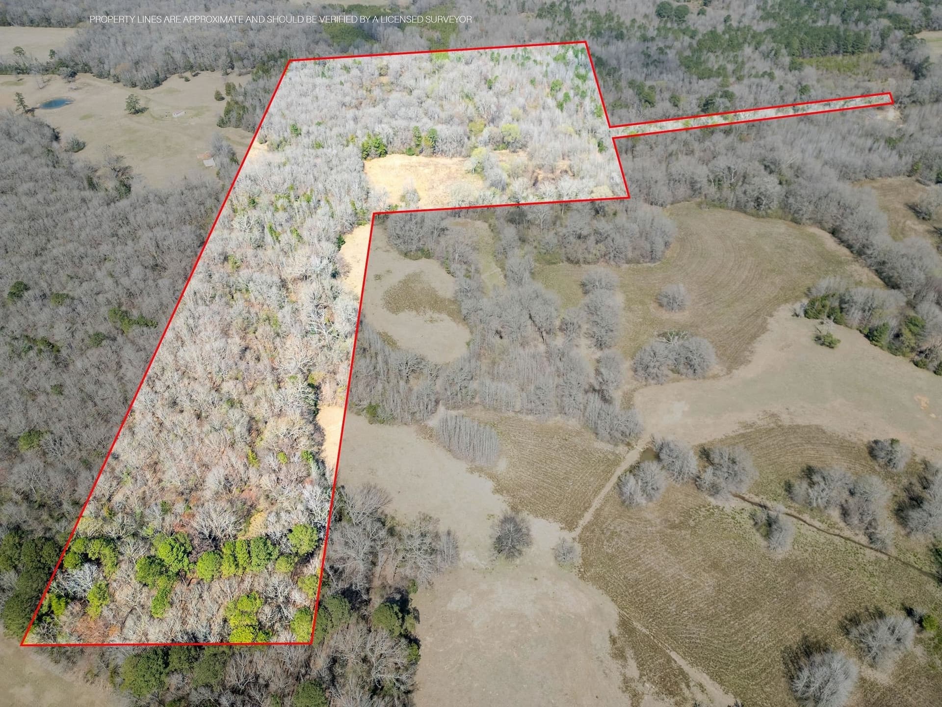 29.95 acres in Cass County - photo 10