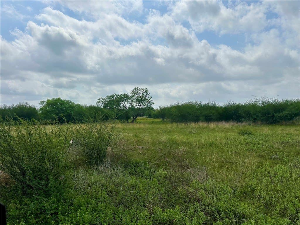 10.98 acres in Refugio County - photo 3