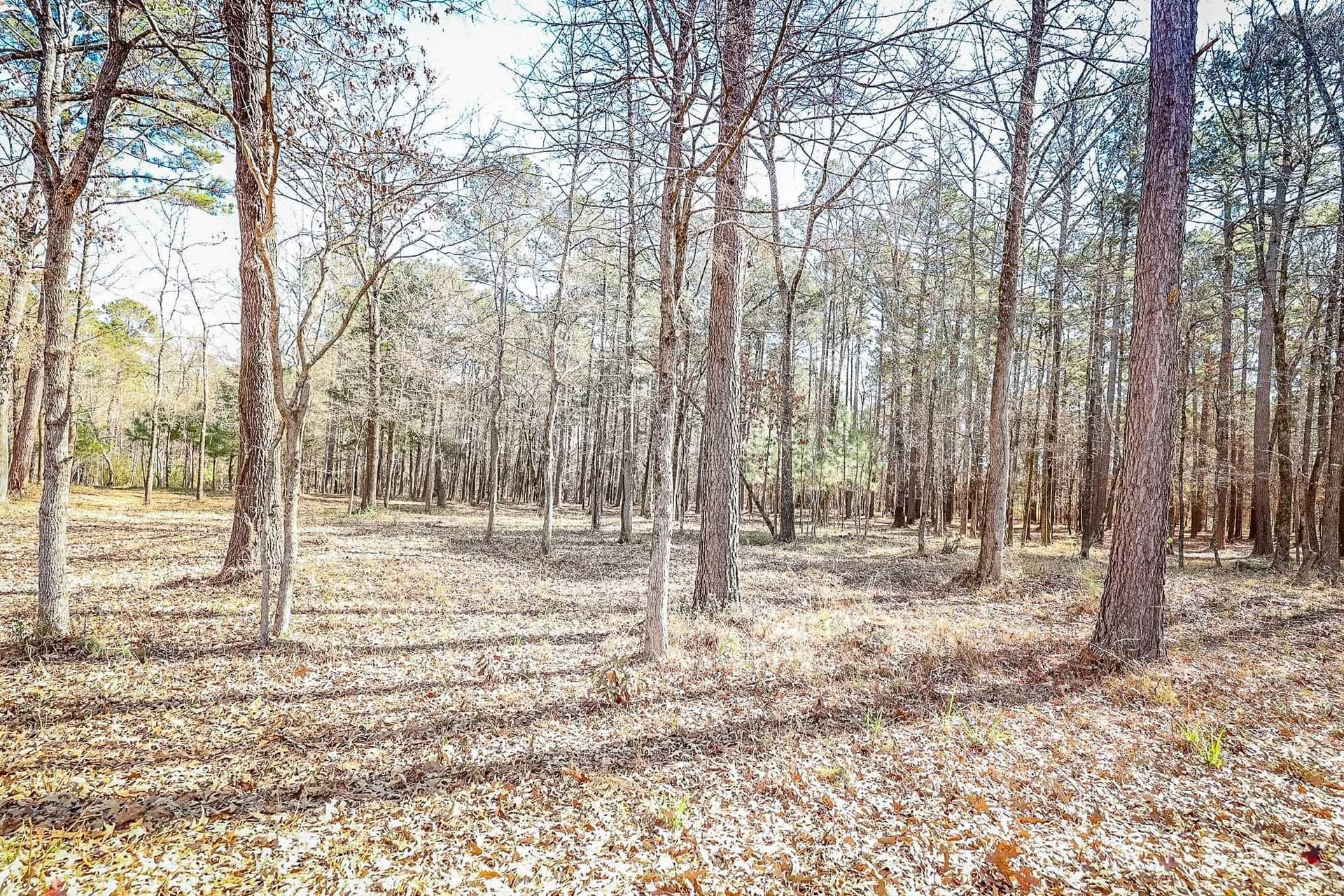 16.5 acres in Marion County - photo 6