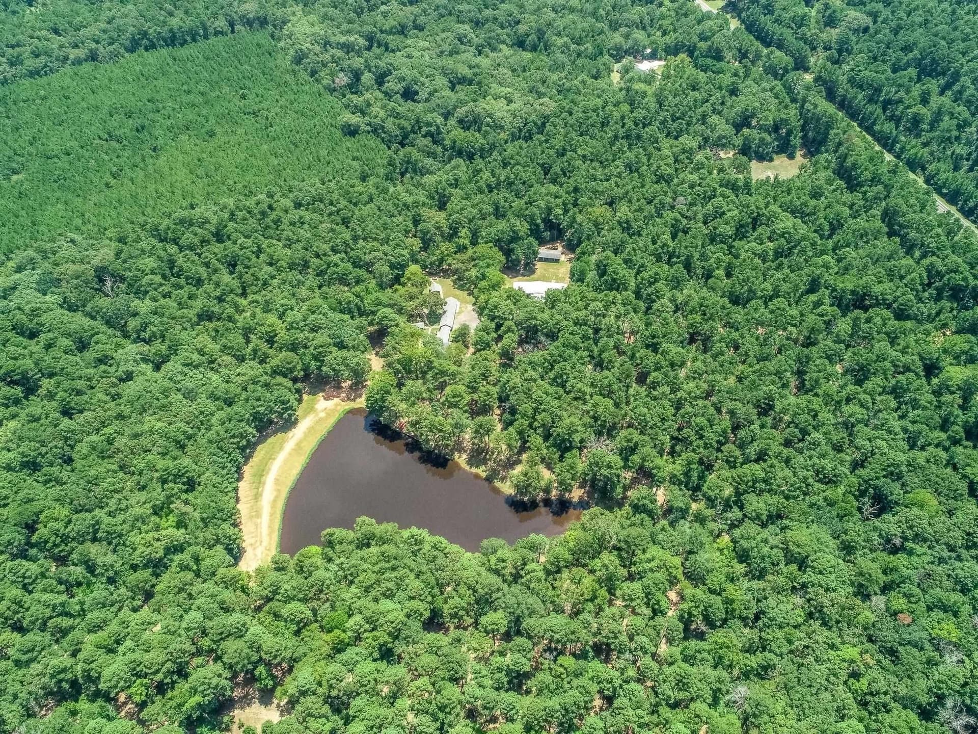 16.5 acres in Marion County - photo 13