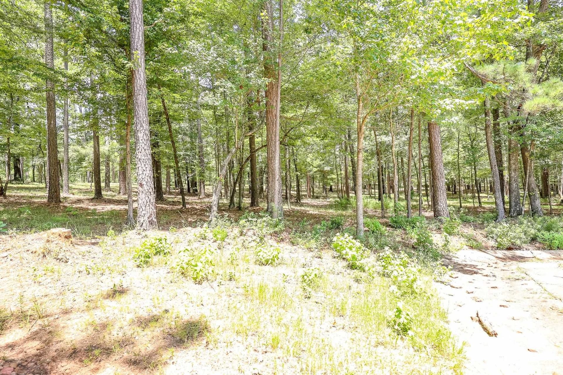 16.5 acres in Marion County gallery image 3