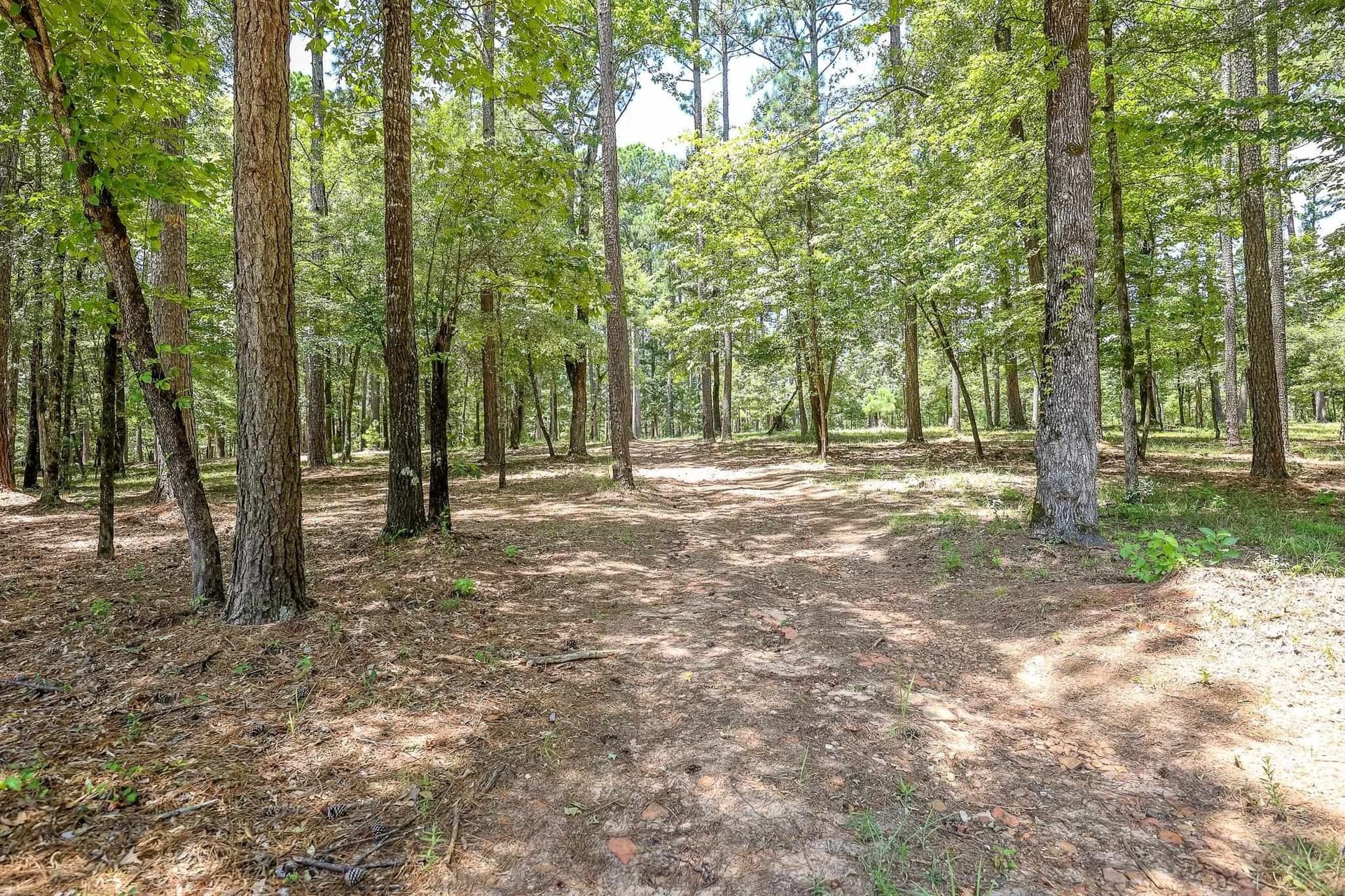 16.5 acres in Marion County gallery image 4