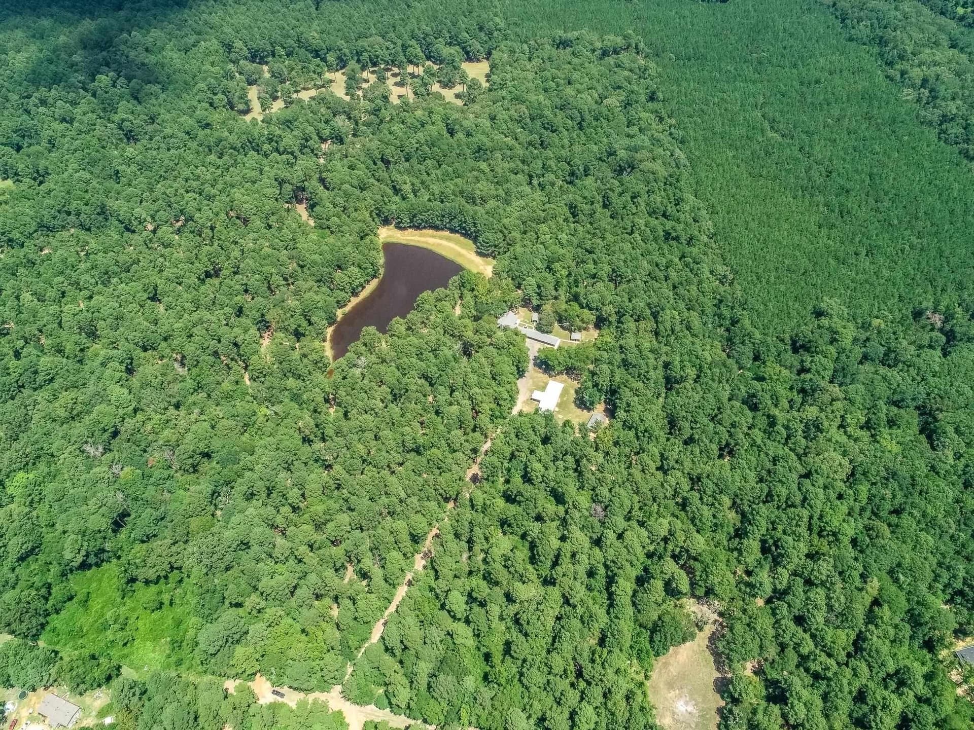 16.5 acres in Marion County - photo 15