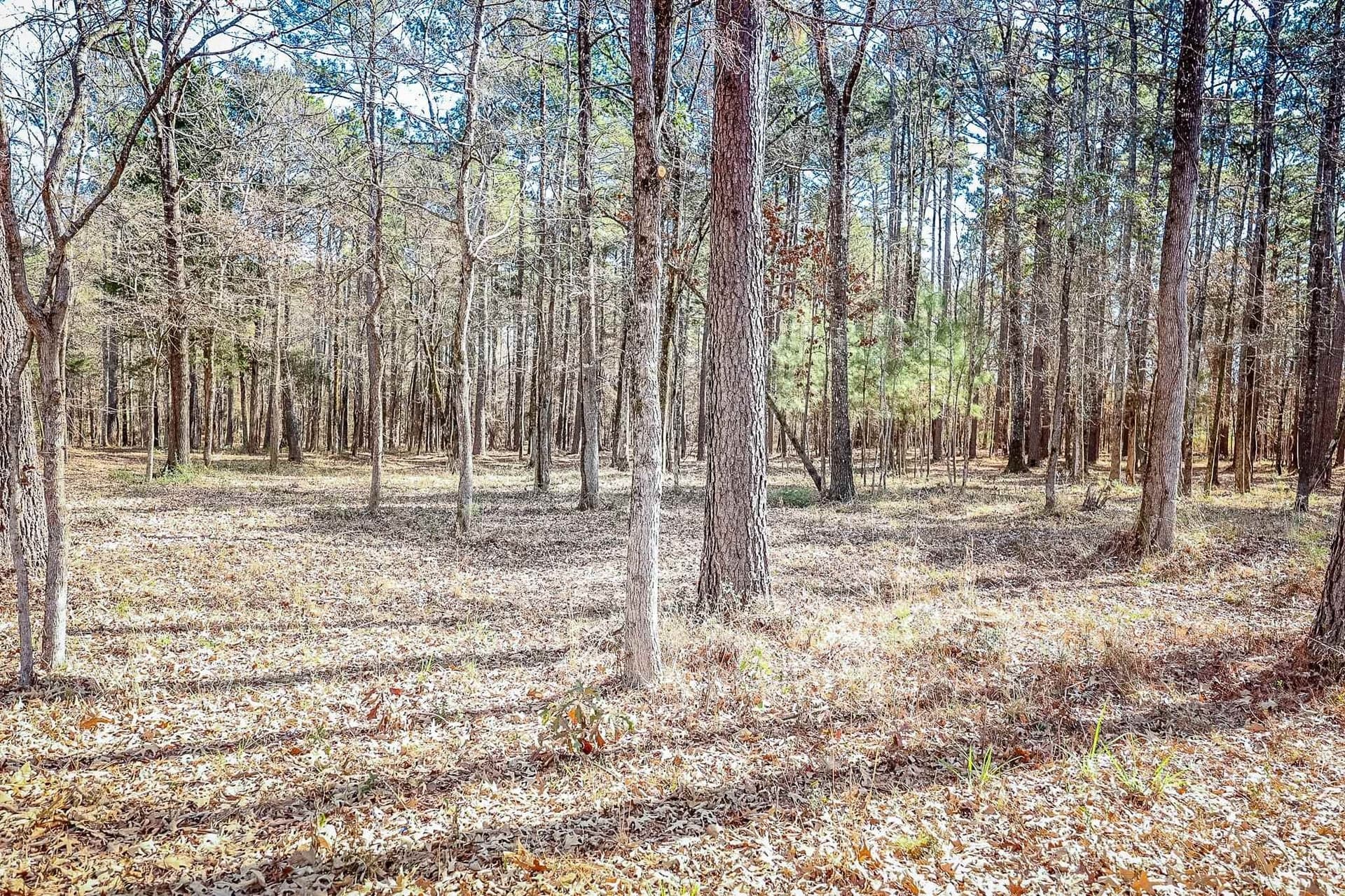 16.5 acres in Marion County featured view