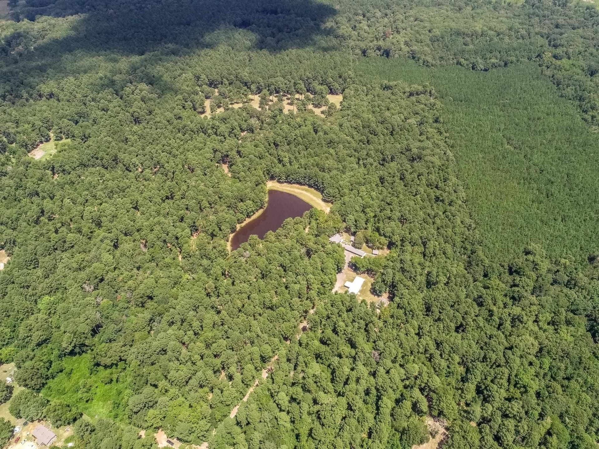 16.5 acres in Marion County - photo 16