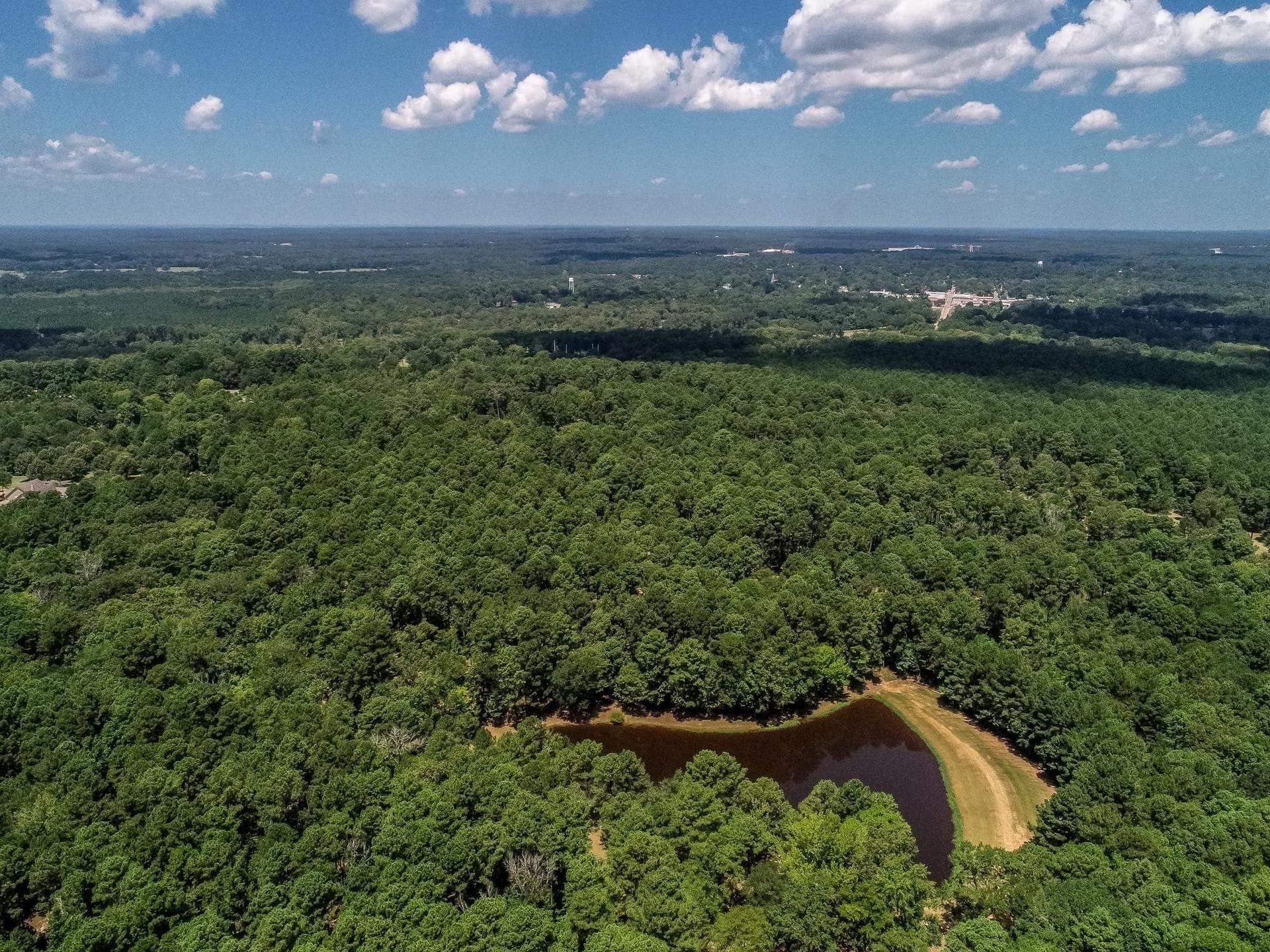 16.5 acres in Marion County - photo 18