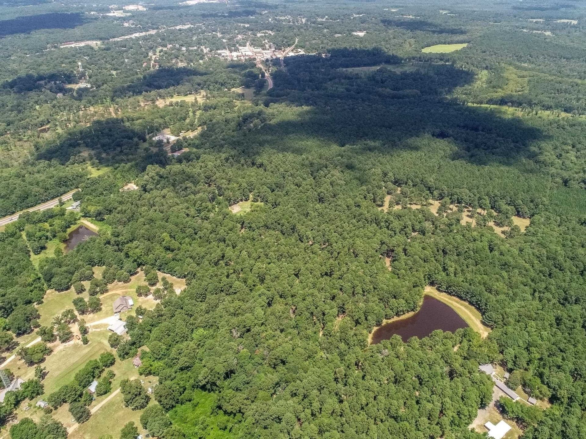 16.5 acres in Marion County - photo 17