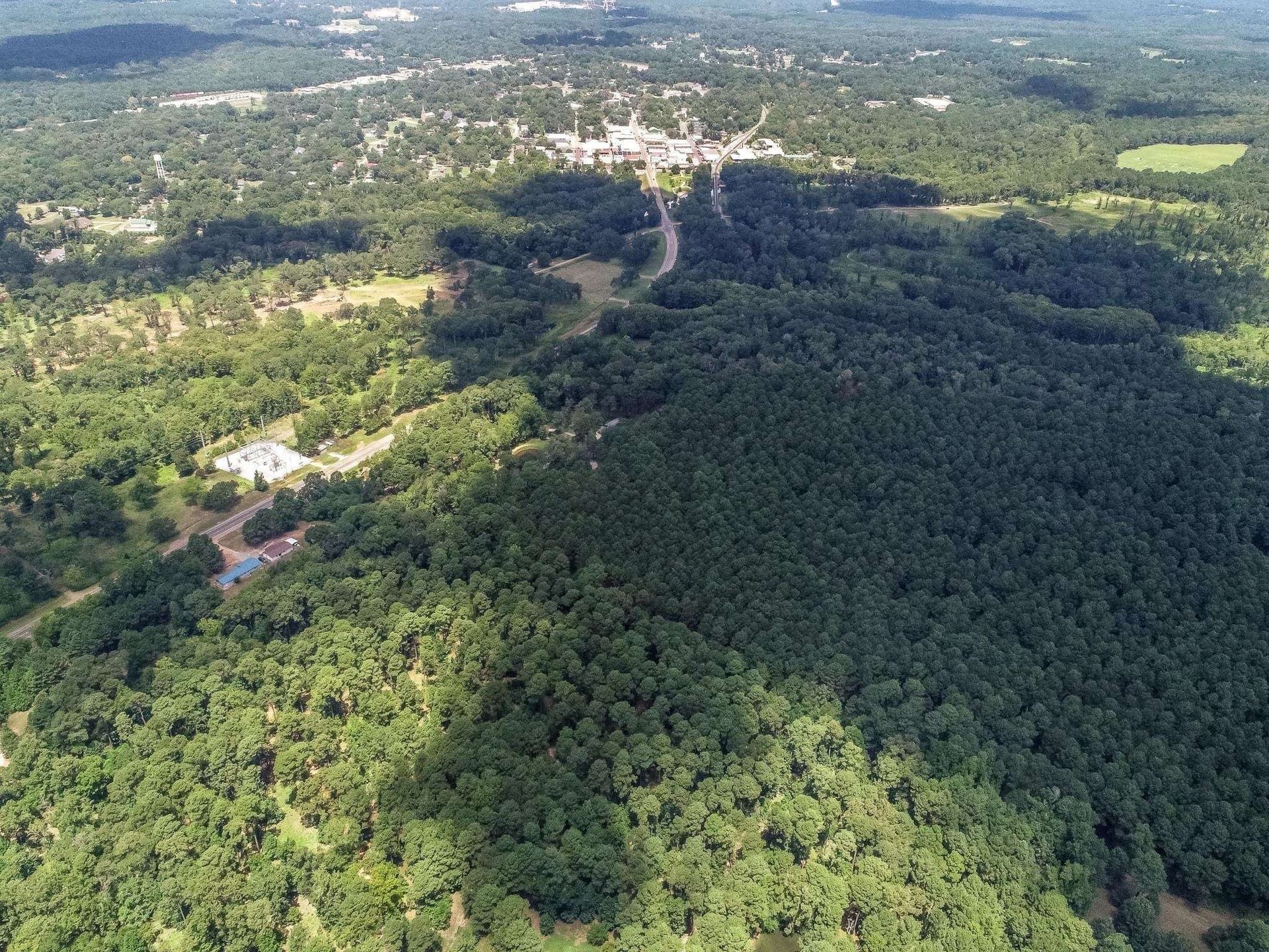 16.5 acres in Marion County - photo 14