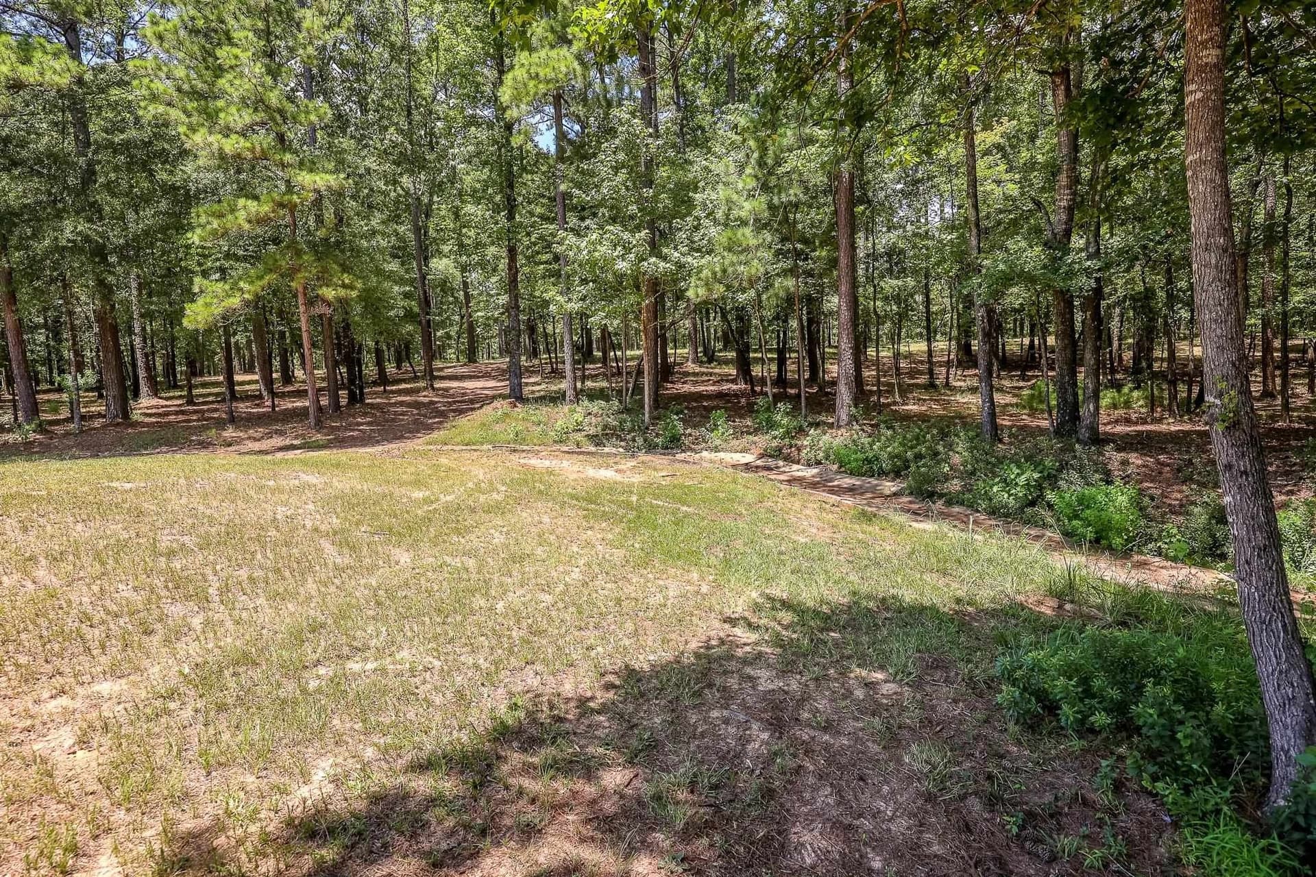 16.5 acres in Marion County gallery image 2