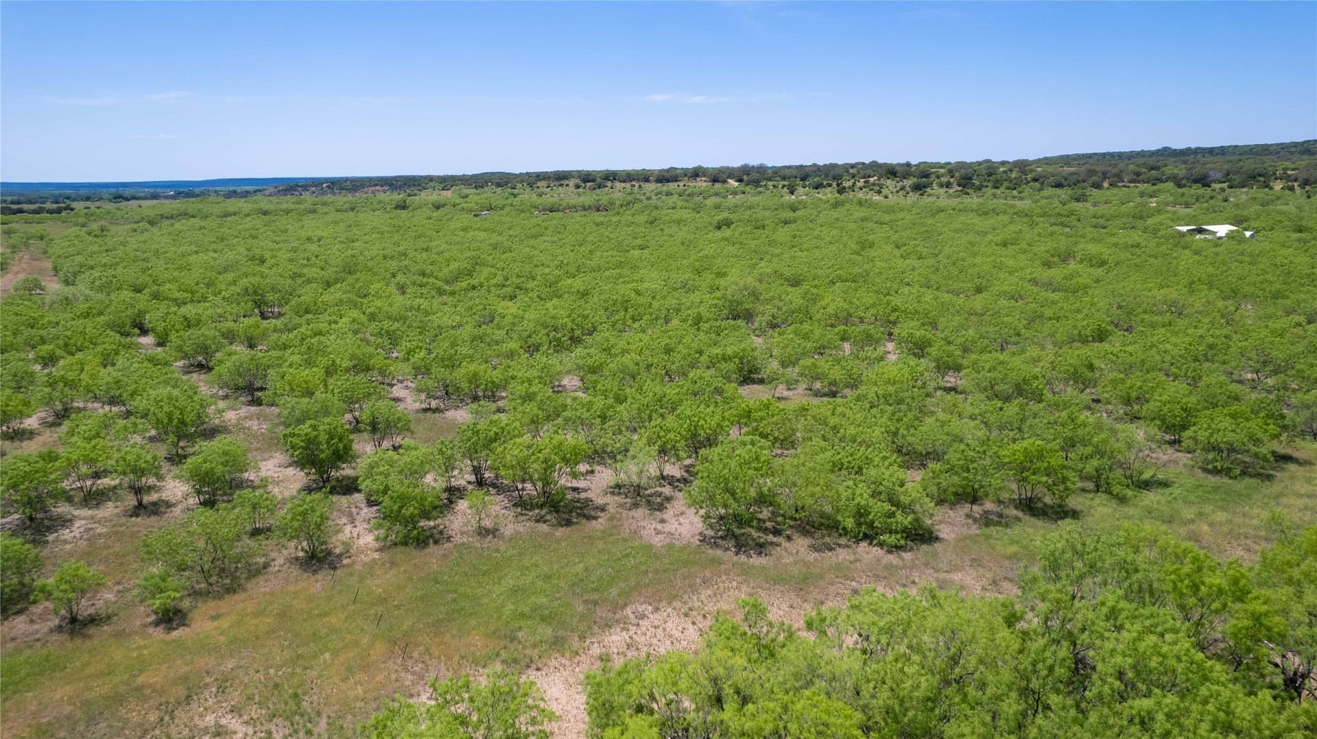 36.22 acres in Brown County - photo 23