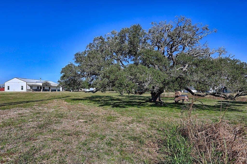 24.48 acres in Colorado County - photo 2