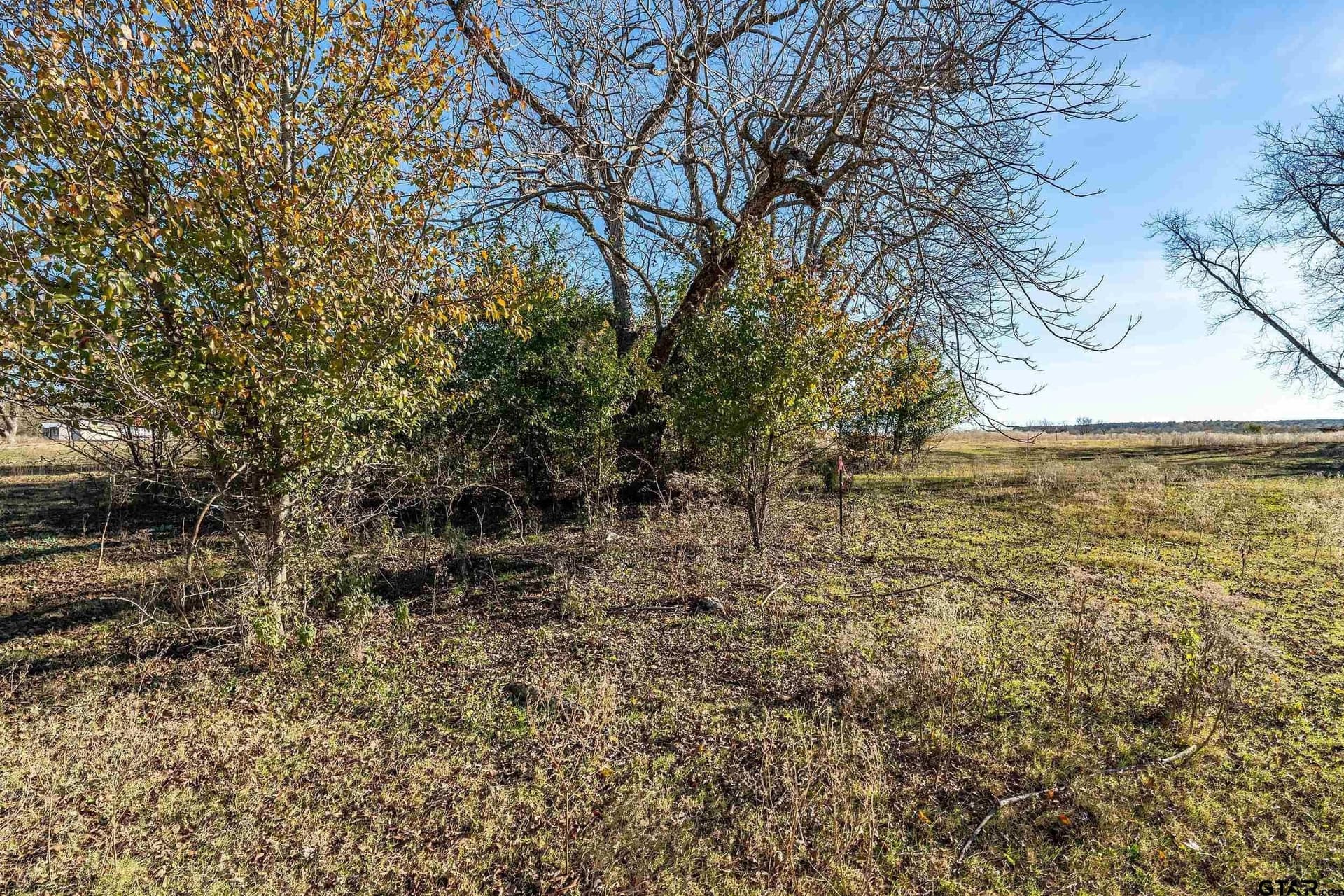 29.81 acres in Smith County featured view