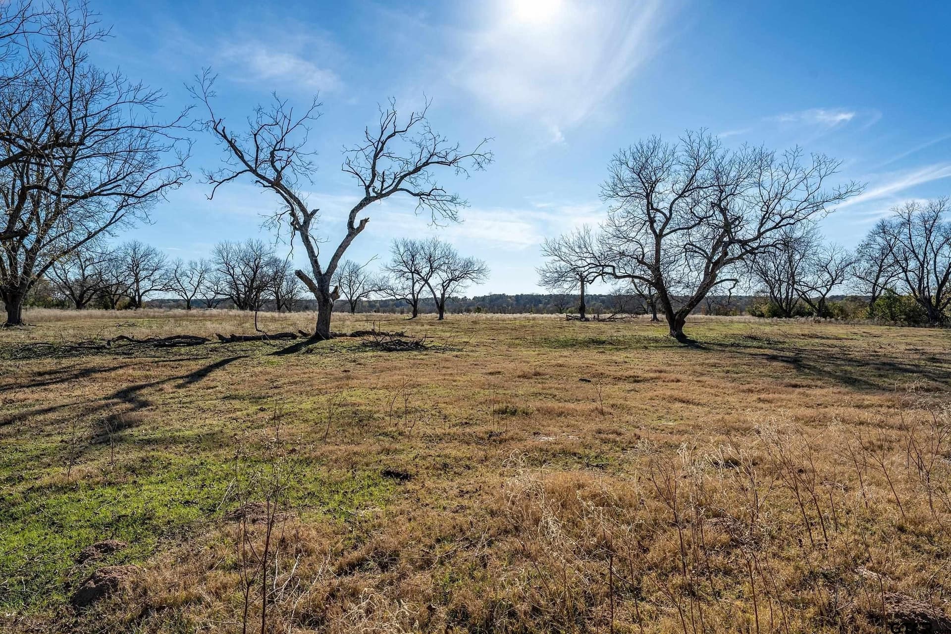 29.81 acres in Smith County gallery image 2