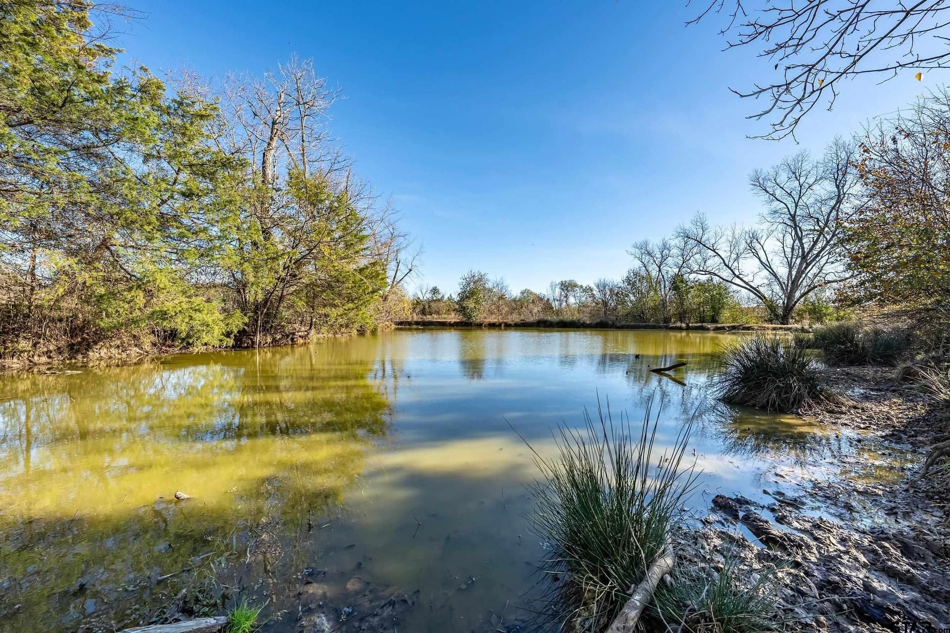 29.81 acres in Smith County