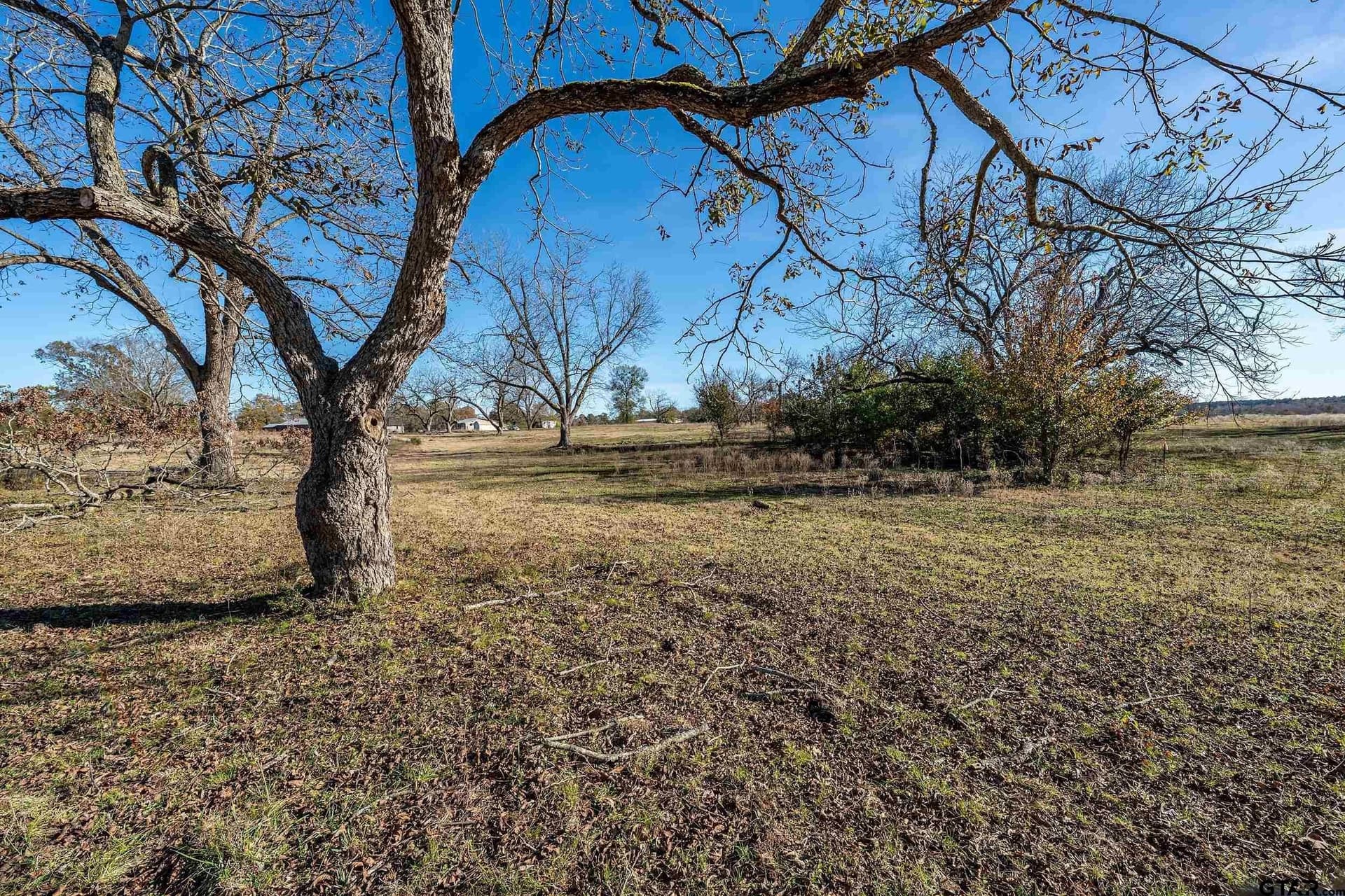 29.81 acres in Smith County gallery image 4