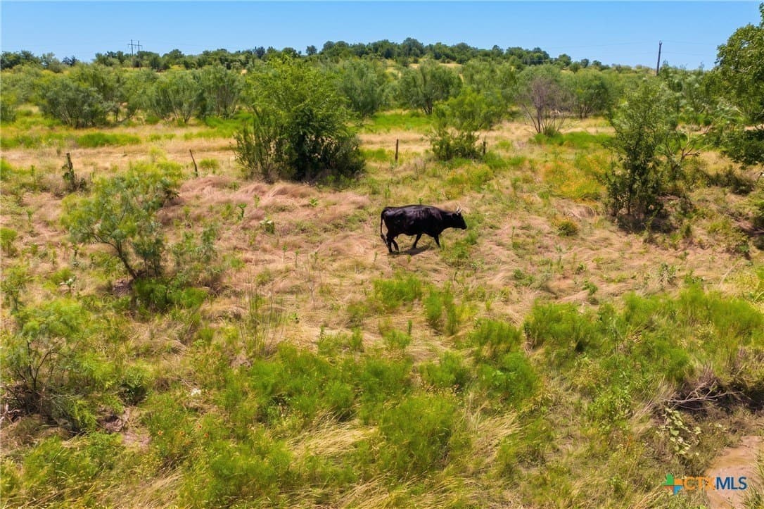 101.27 acres in Milam County - photo 6