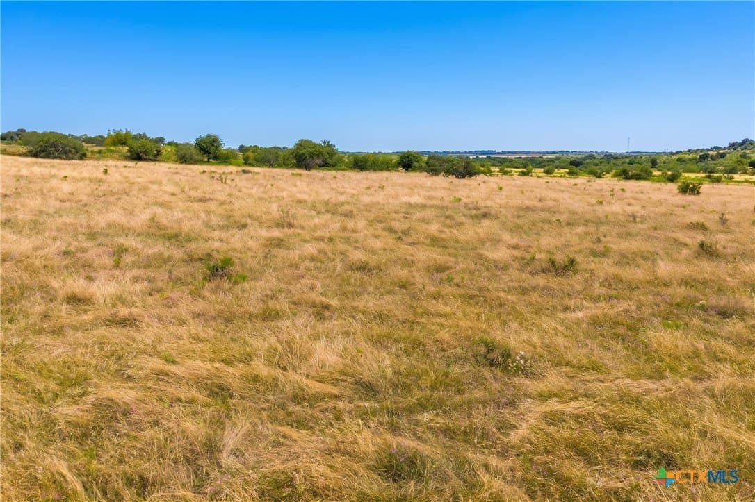 101.27 acres in Milam County gallery image 4