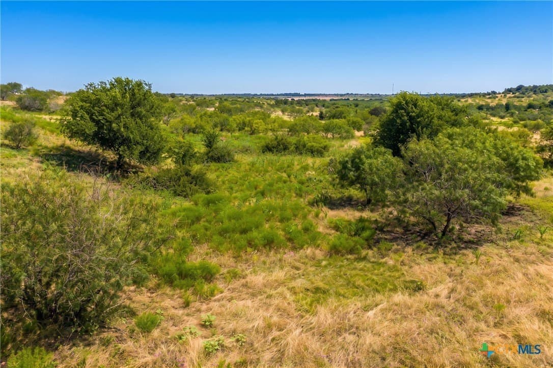 101.27 acres in Milam County gallery image 2