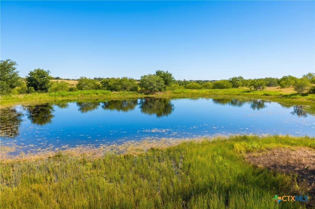 101.27 acres in Milam County - photo 19