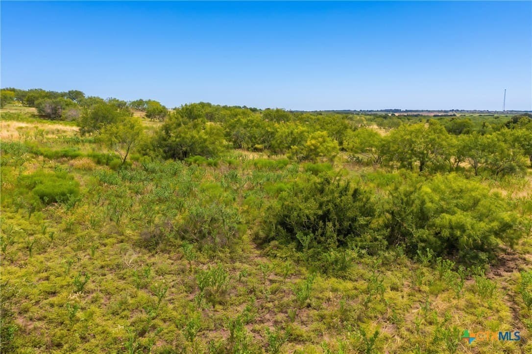 101.27 acres in Milam County - photo 15