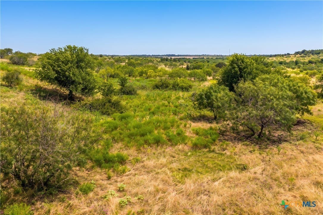 101.27 acres in Milam County - photo 9