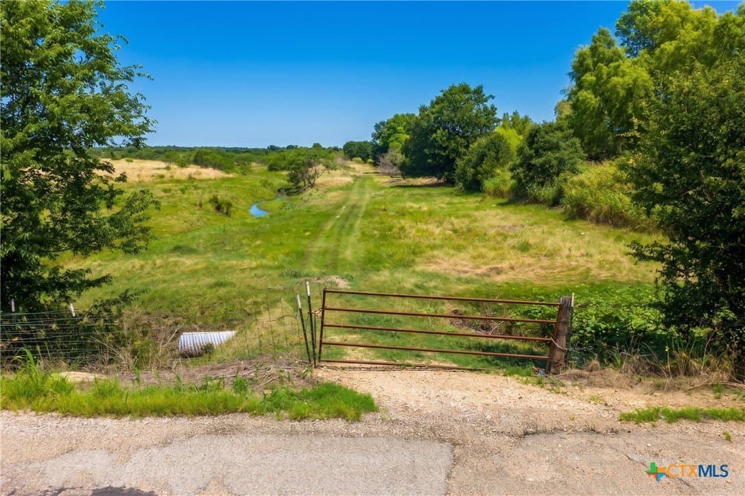 101.27 acres in Milam County gallery image 3