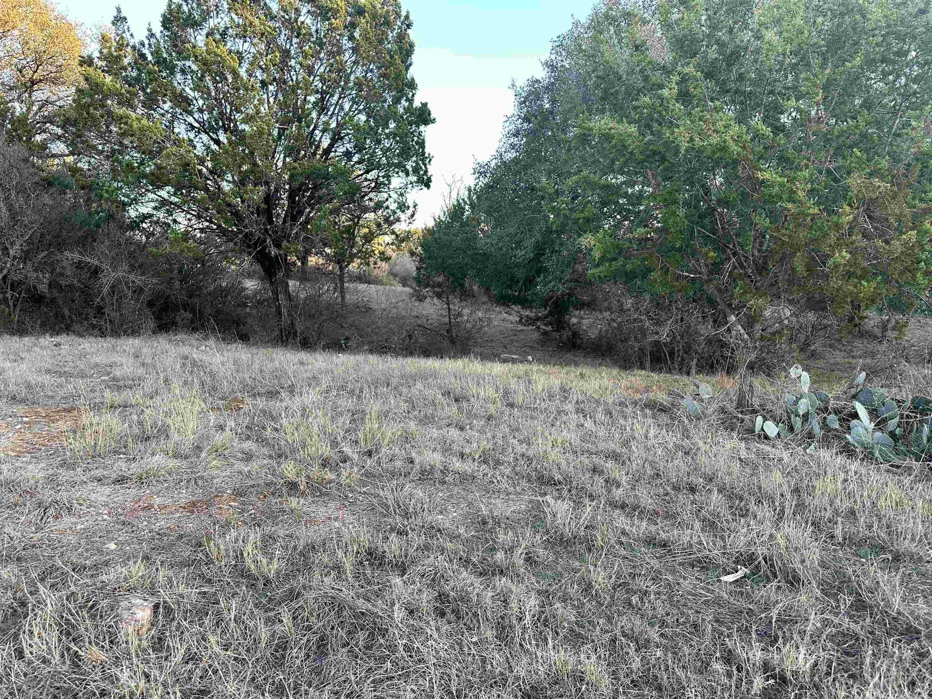 0.23 acres in Llano County gallery image 3