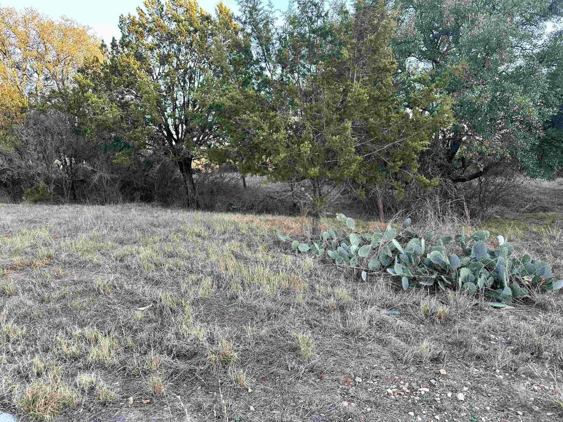 0.23 acres in Llano County gallery image 2