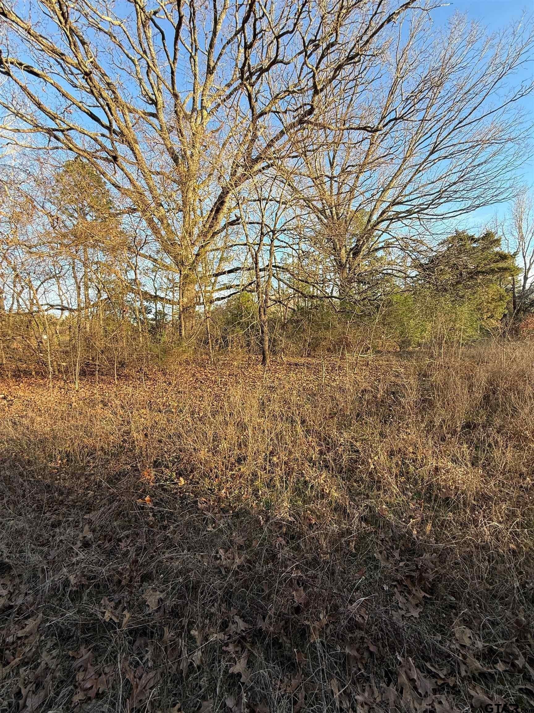 3.24 acres in Titus County featured view