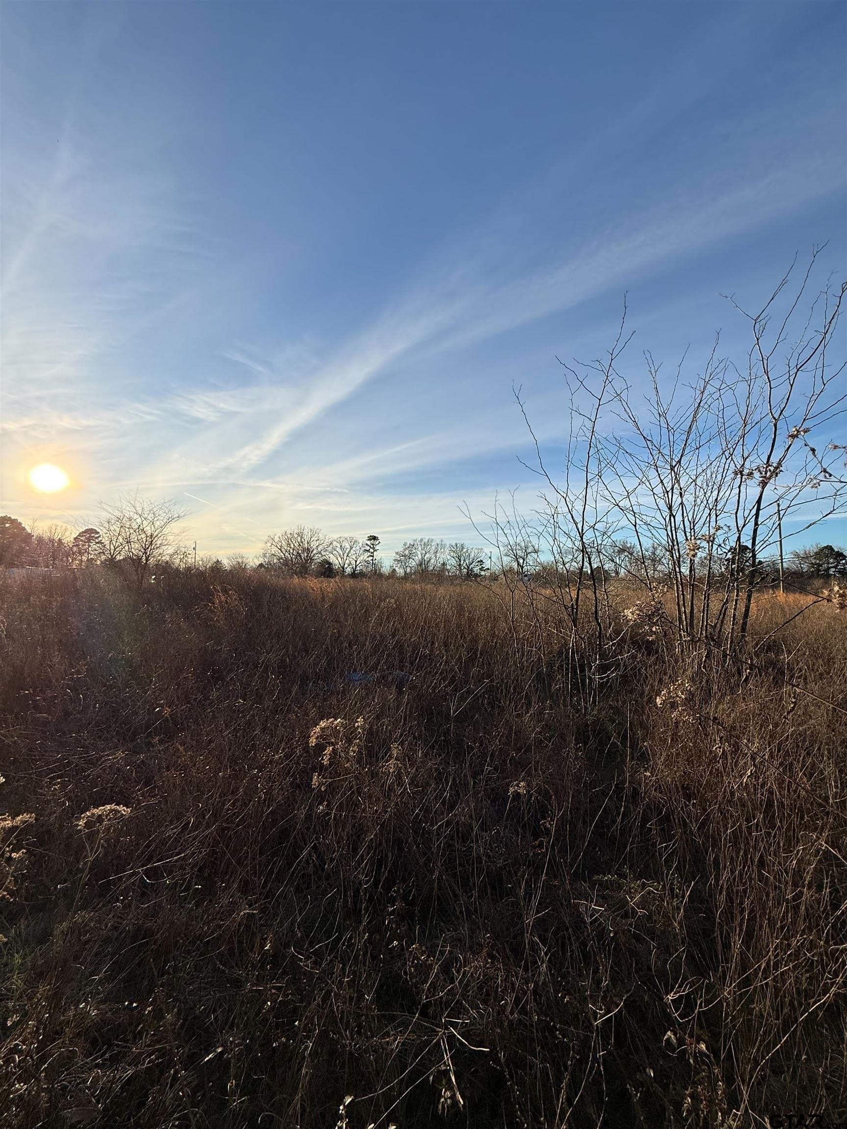 3.24 acres in Titus County gallery image 2