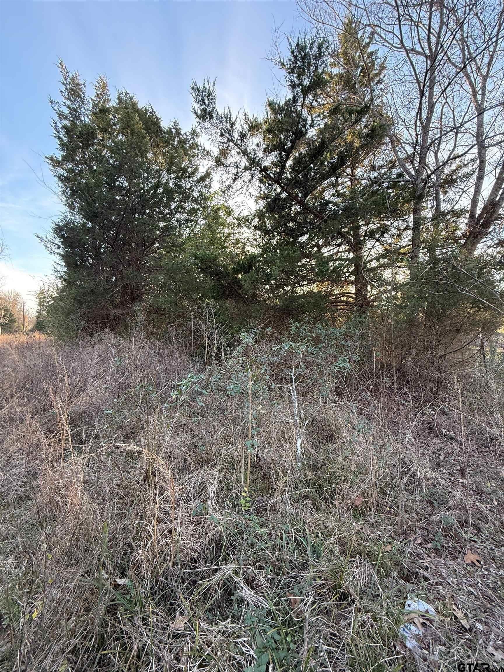 3.24 acres in Titus County gallery image 4