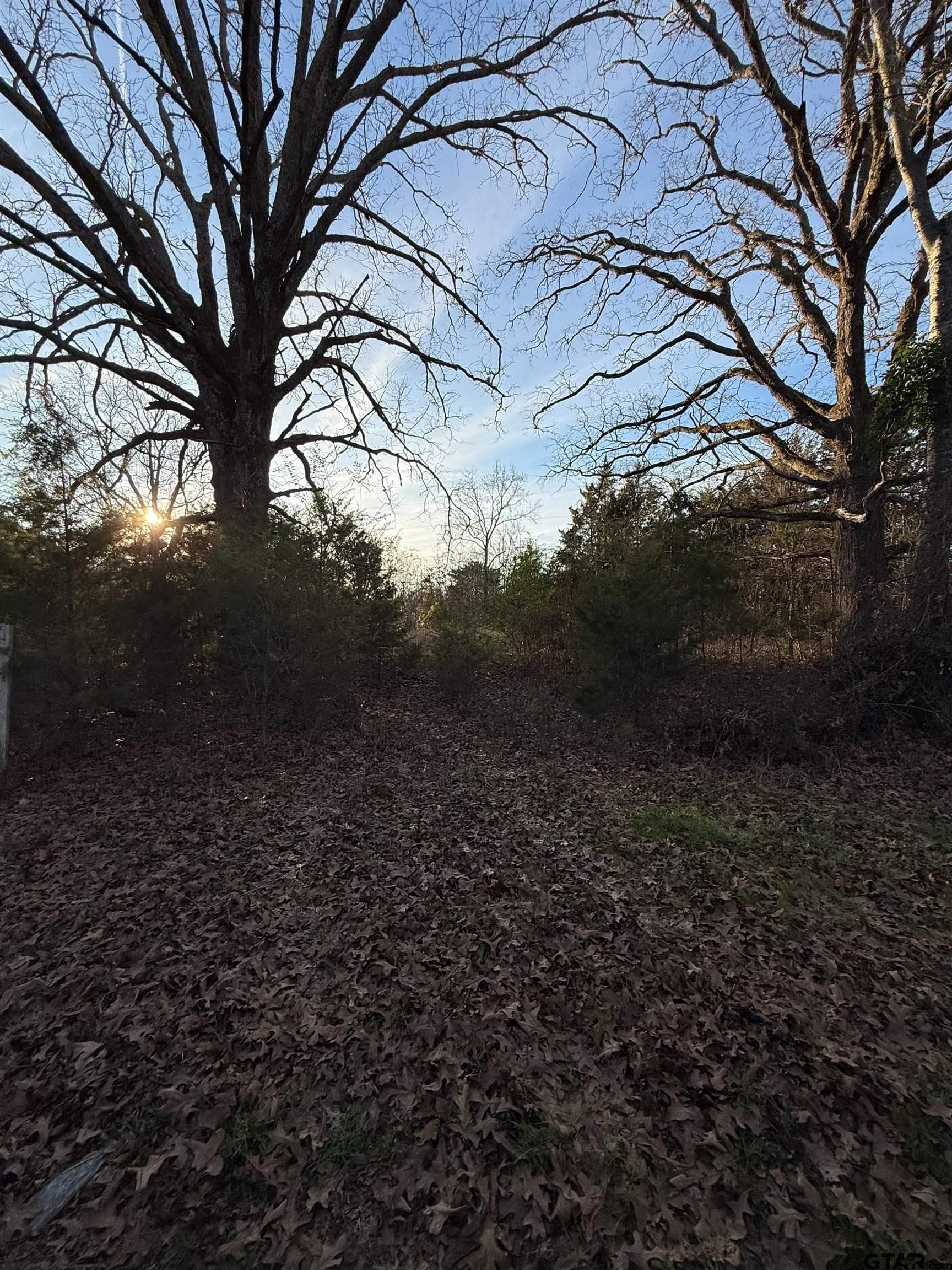 3.24 acres in Titus County