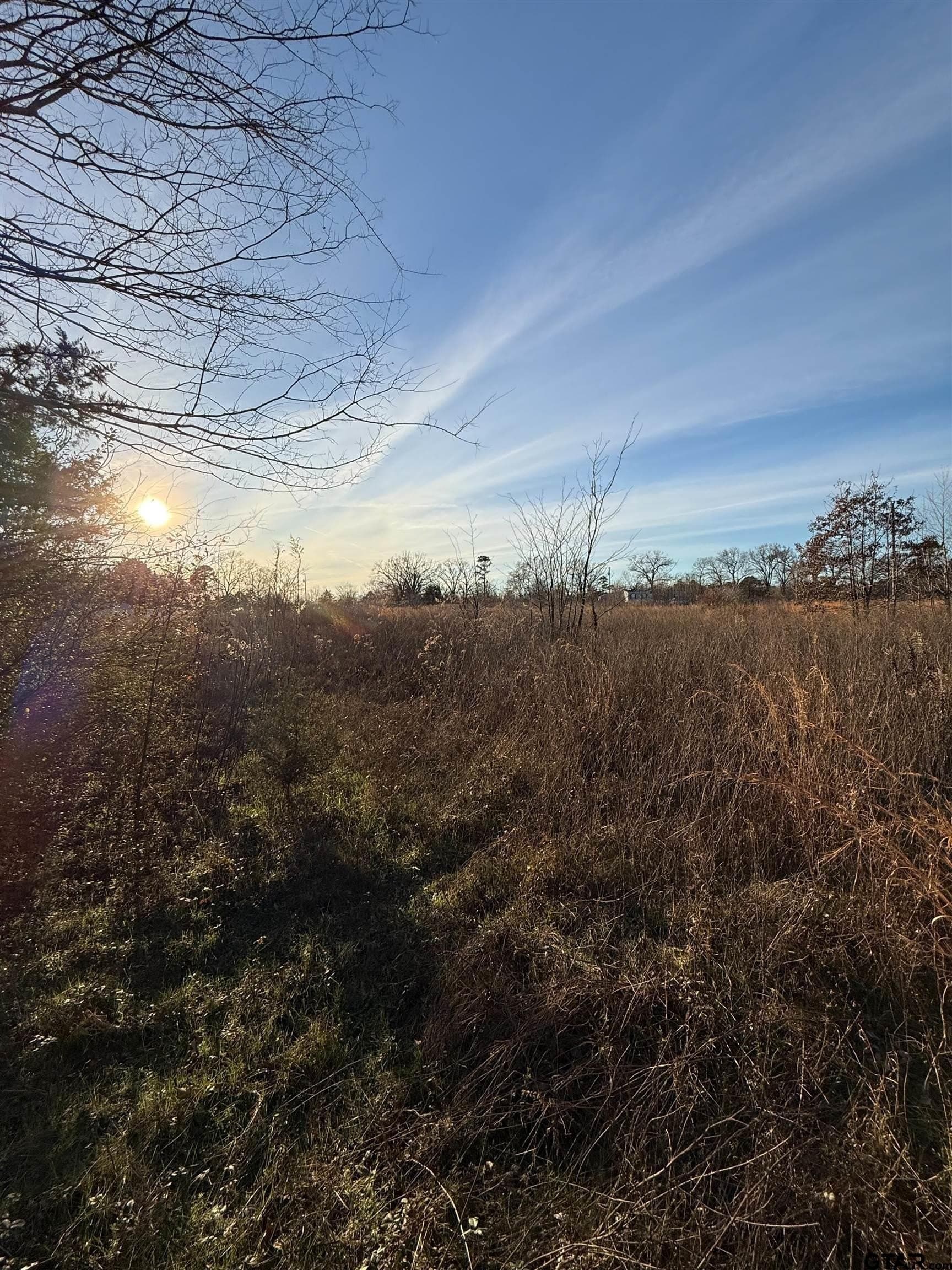 3.24 acres in Titus County gallery image 3