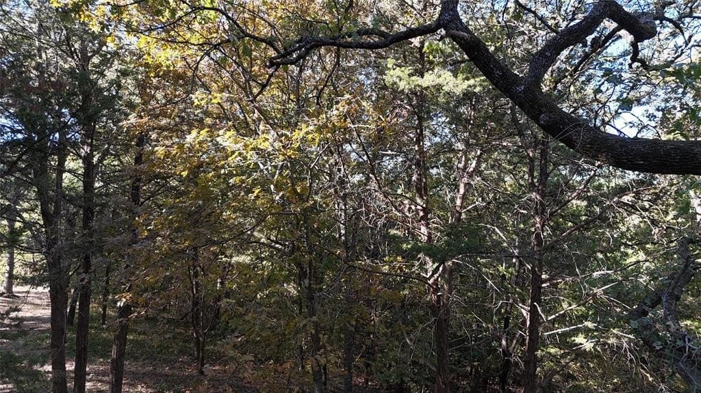 1.06 acres in Grayson County gallery image 2