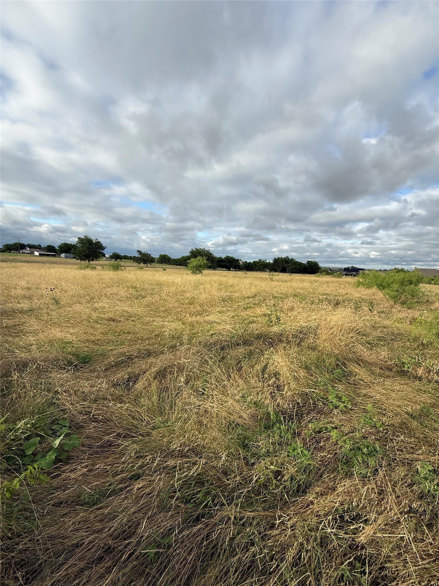 7.8 acres in Parker County - photo 6