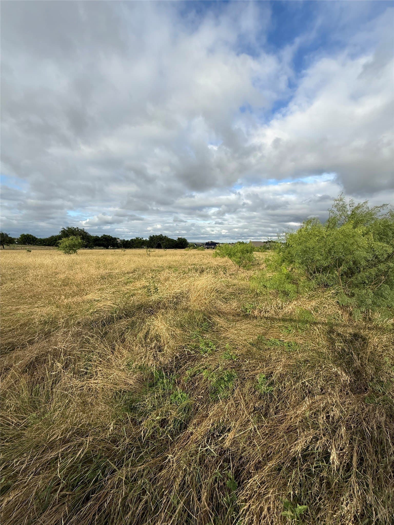 7.8 acres in Parker County - photo 15