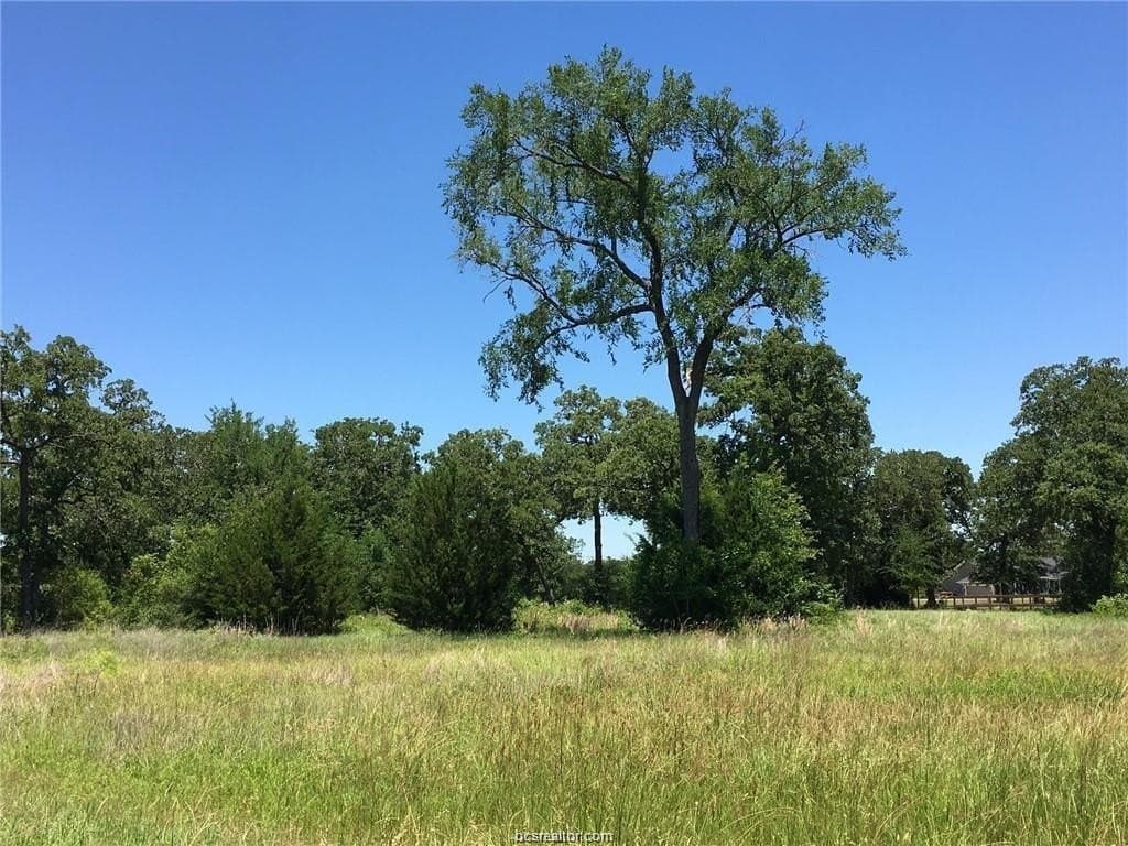 1.18 acres in Grimes County featured view