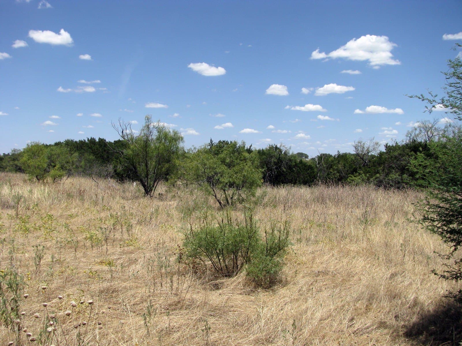 20 acres in Hamilton County - photo 9