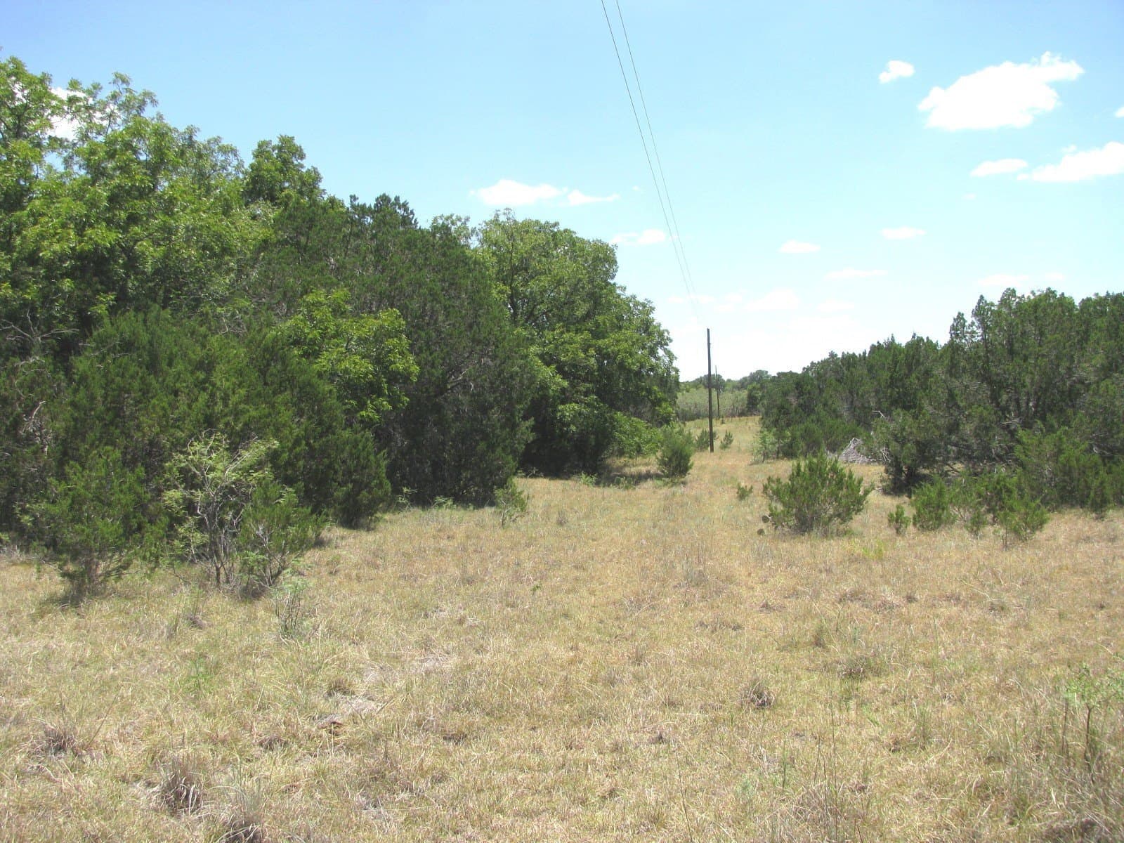 20 acres in Hamilton County - photo 8