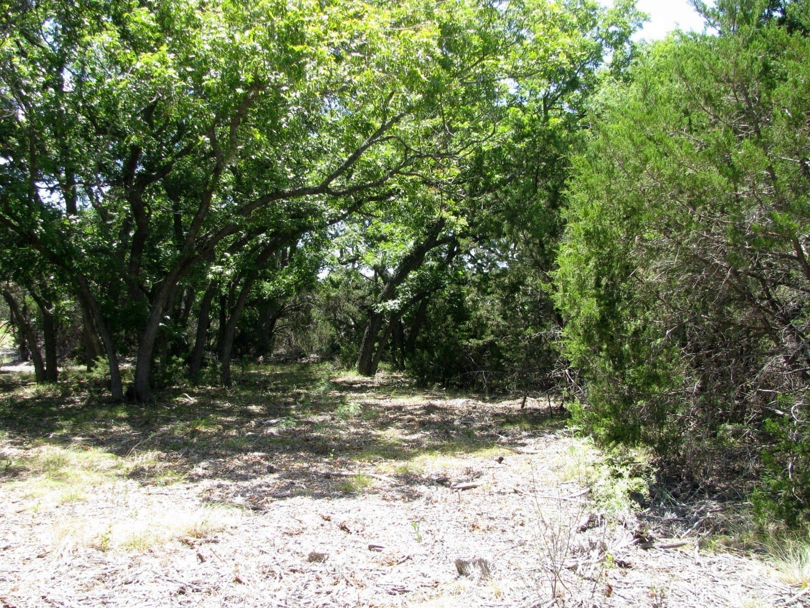 20 acres in Hamilton County - photo 15