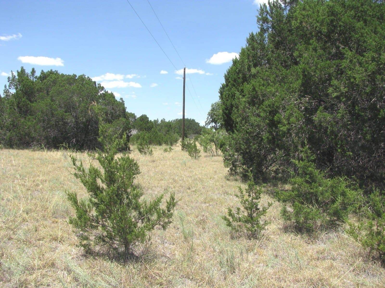 20 acres in Hamilton County gallery image 2