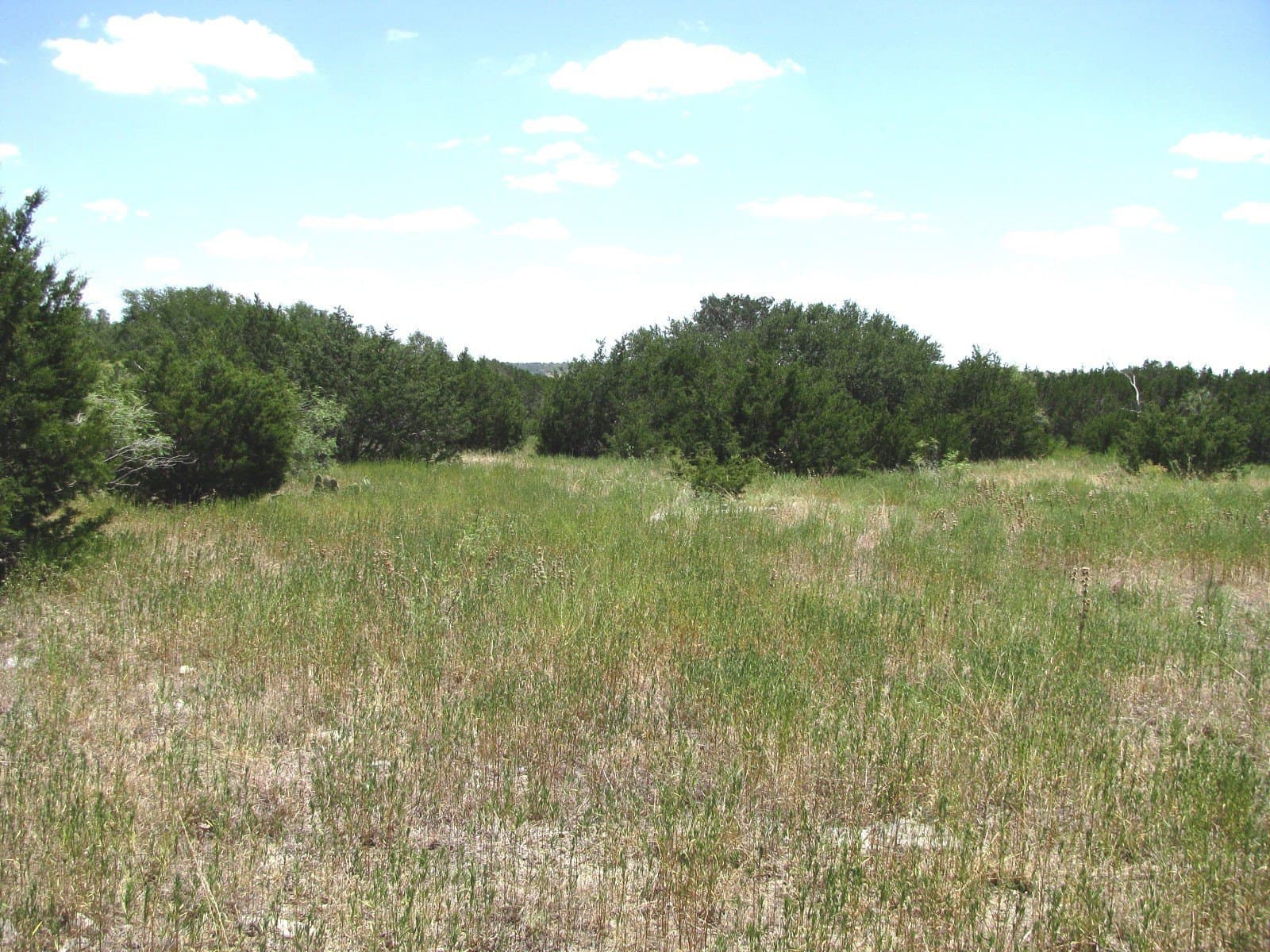 20 acres in Hamilton County featured view