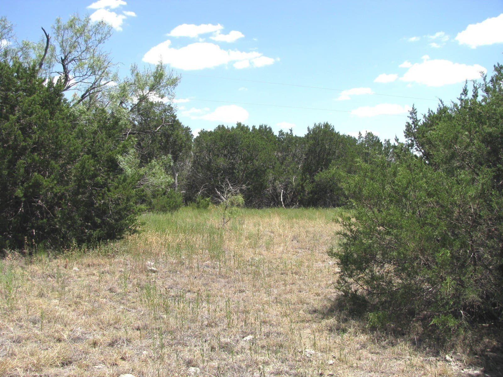 20 acres in Hamilton County - photo 13
