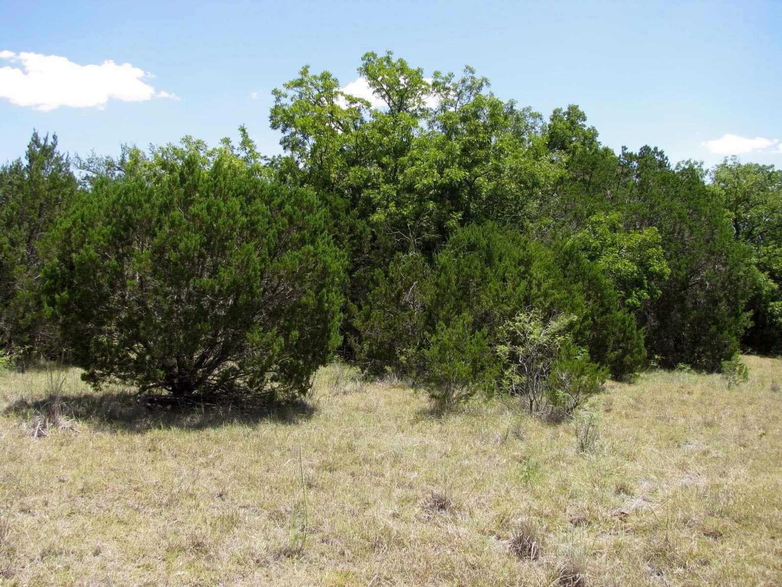 20 acres in Hamilton County - photo 7