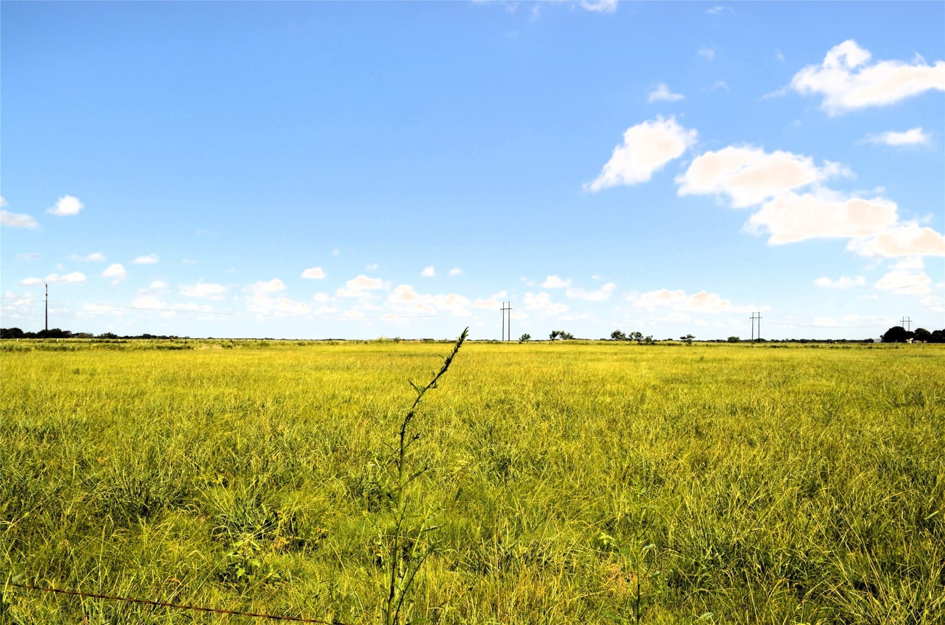 24 acres in Kaufman County - photo 9