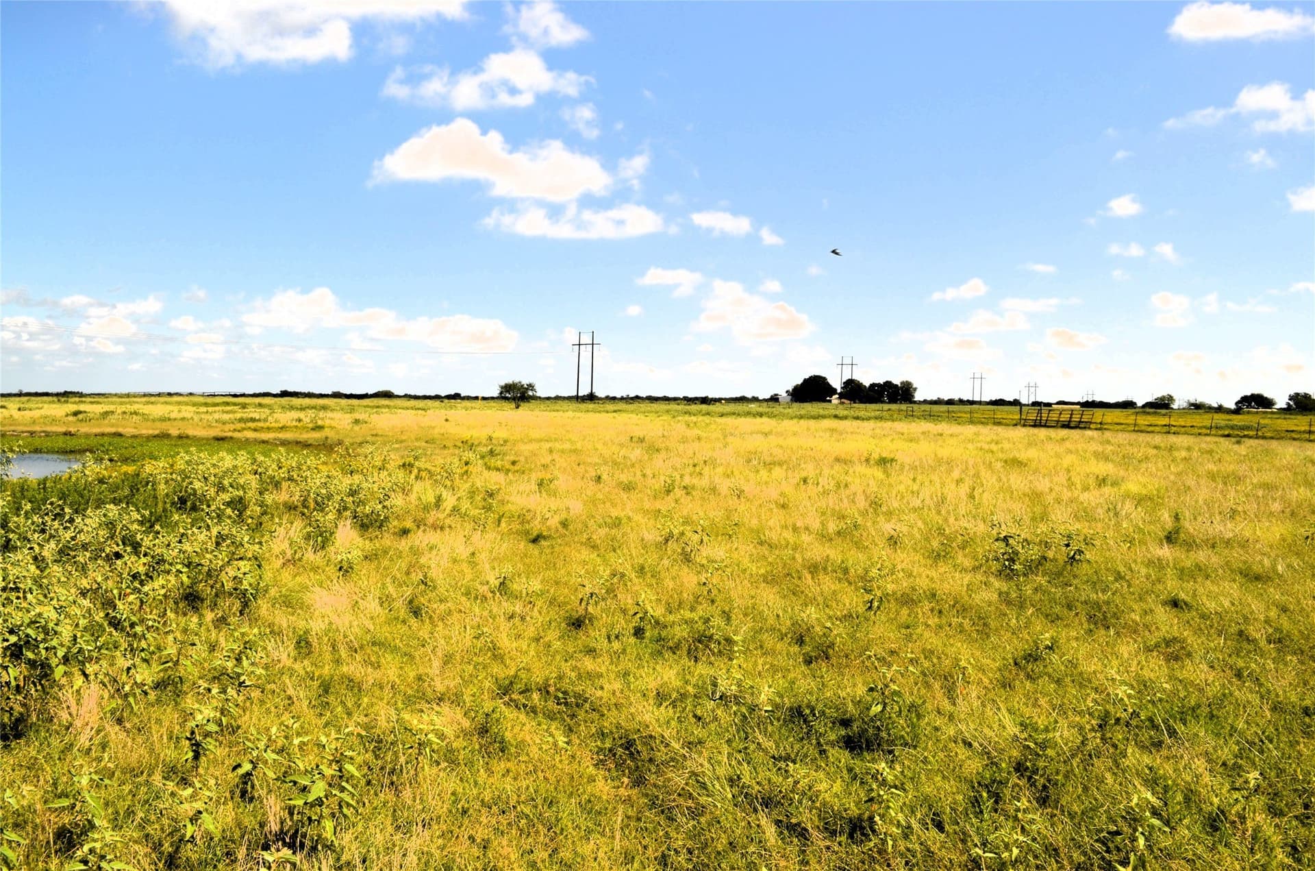 24 acres in Kaufman County - photo 11