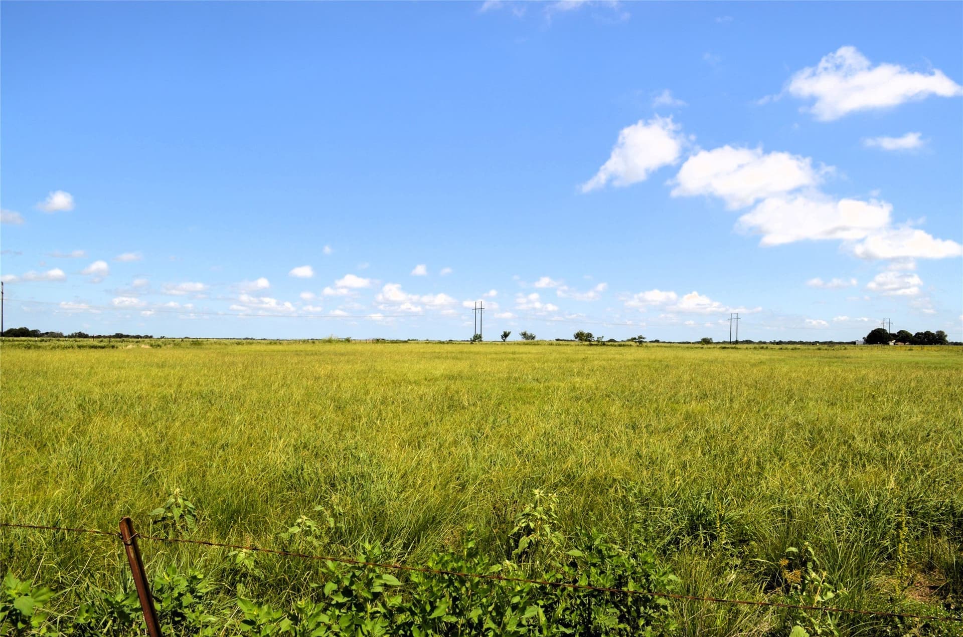 24 acres in Kaufman County - photo 6